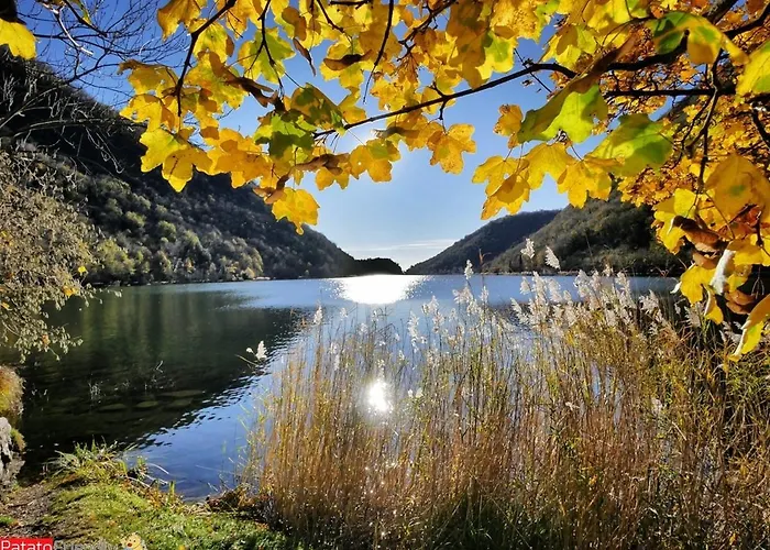 Moderno E Spazioso, A Due Passi Dal - Pet Friendly Apartment